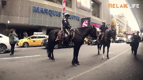 Policemen in TimeSquare