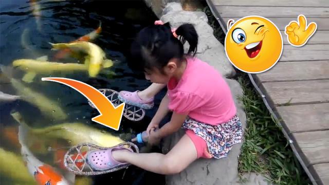 Loài cá cũng thích uống sữa như trẻ con