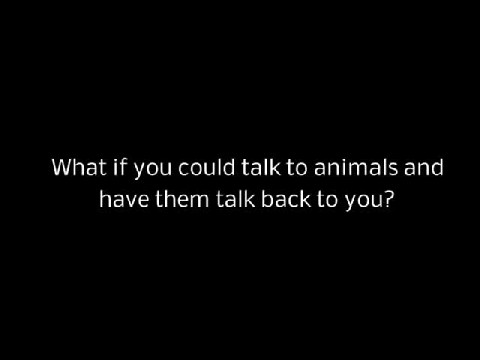 The Incredible Story of How Leopard Diabolo Became Spirit Anna Breytenbach Animal Communicator