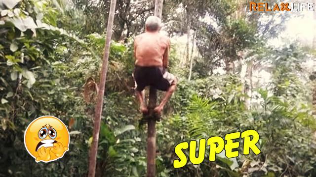 A man climbs up and down the tree so quick.