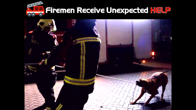 Firemen receive unexpected HELP from an AMAZING DOG