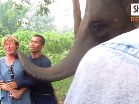 Friendship Between Humans And Animals