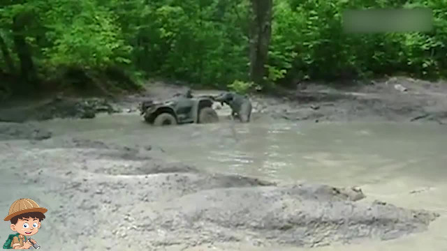 There's A Truck In The Lake!: Fails of the Week (July 2017)