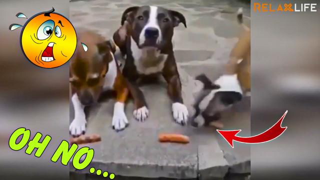 OMG! Unbelievable!!!