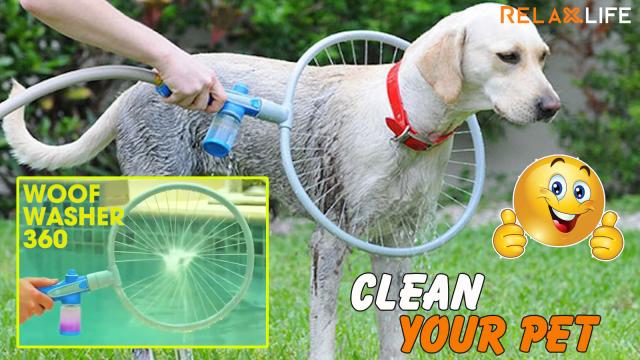 Độc đáo thiết bị tắm cho chó có MỘT không HAI trên thế giới