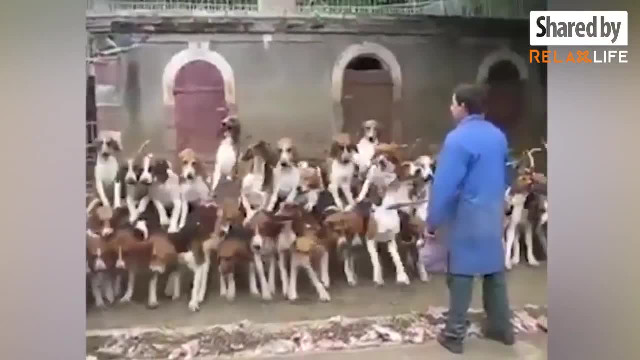 Awww....Sooo Smart!!