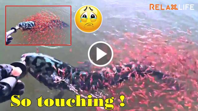 Maternal love could change your mind and action