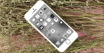 Cách chuyển đổi giữa 2 chế độ màu và chế độ đen trắng của hệ điều hành iOS 11
