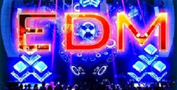 Những loại nhạc EDM thường gặp