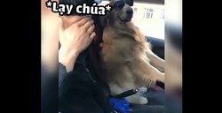 Sợ nhất khi để thằng bạn cầm tay lái