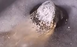 15 video khó tin nhưng có thật 
