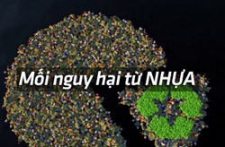 Nhựa, mối nguy kết thúc đại dương xanh 