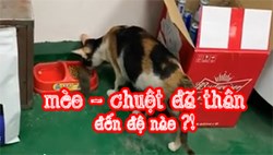 new video