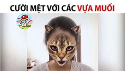 Cười mệt với mấy vựa muối này-Clip xả stress