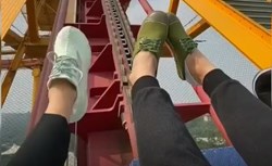 Rủ gấu chơi trò này thì vui phải biết
