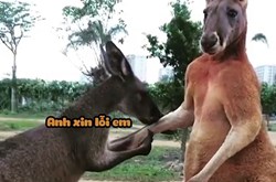 Làm thế nào để người yêu hết giận bây giờ