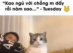 Phận con Sen khi có Boss lầy lội