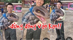 Những con pet đáng yêu thế này, hẳn là mơ ước sở hữu của bao nhiêu người