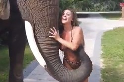 Nhìn clip này, thanh niên nào cũng muốn được làm con voi