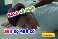 Boss cứ cà khịa như này, Sen còn làm ăn được gì nữa