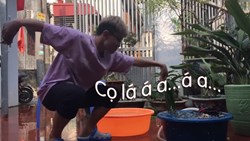 Muôn kiểu CỌ LÁ gói bánh chưng