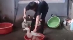 Lần đầu về nhà bạn gái be like
