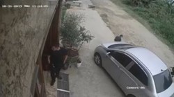 Xem mà rớt tim, mọi người hết sức cảnh giác nhé