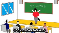 Học viện đào tạo Muỗi - FunTV