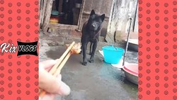 Kix Vlog - Đừng xem, coi là cười đấy - Part 4