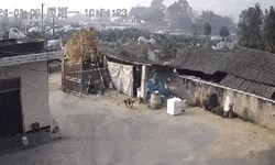 Clip: Thông tắc hệ thống khí, người đàn ông bất ngờ bị thổi bay lên mái nhà