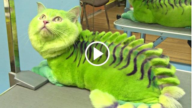 These animals cut hair like a boss