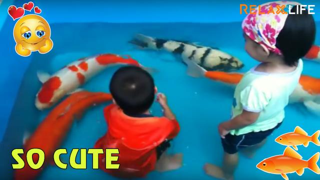 Đây là lý do bố mẹ luôn cấm bạn lại gần bể cá - Hài