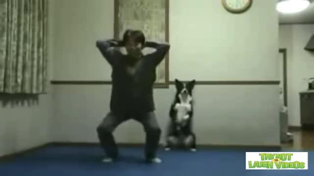Cats and Dogs