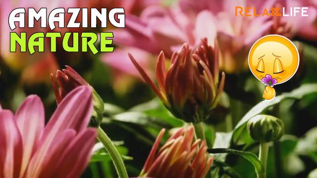 Beautiful life is started now every moment in the earth