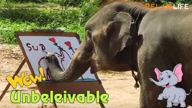 Unbeleivable, elephant could draw a beatiful picture by his nose