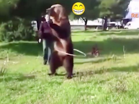 These Animals Are Really Smart!