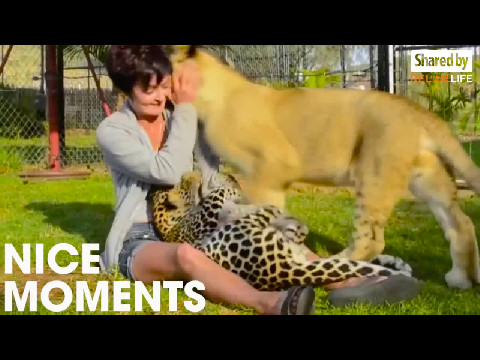 Hugging On Animals