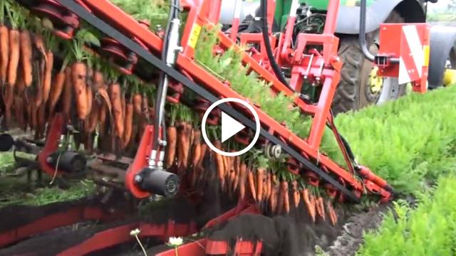 Beautiful video compilation