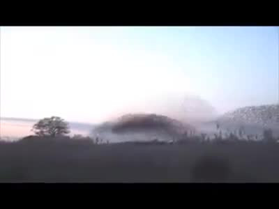 The birds dance in the sky. It's amazing!
