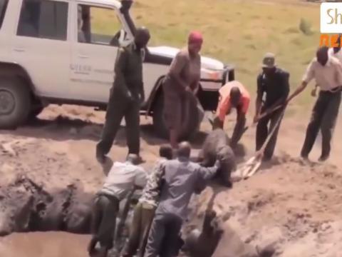 When There Is A Will, There Is A Way