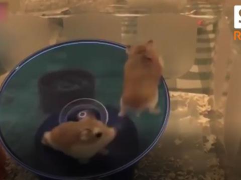 Run Run Run... As Fast As You Can...