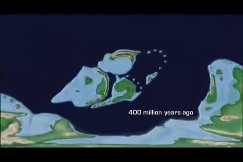 650 Million Years in under 2 minutes