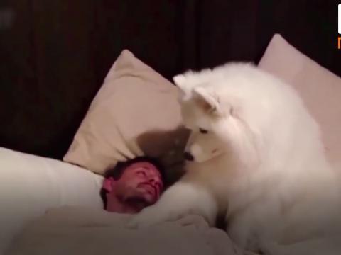 BEST Alarm Clock Ever!!