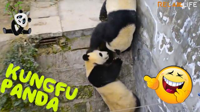 Relax moments with funny playing time