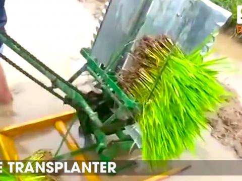 Làm nông nghiệp chưa bao giờ dễ dàng như vậy - Phần 6