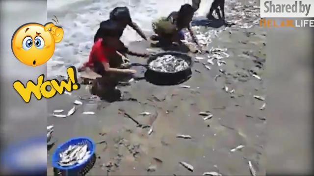 A gift from the ocean