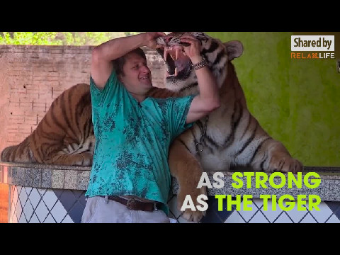 Heartwarming Friendships Between Humans And Wild Animals