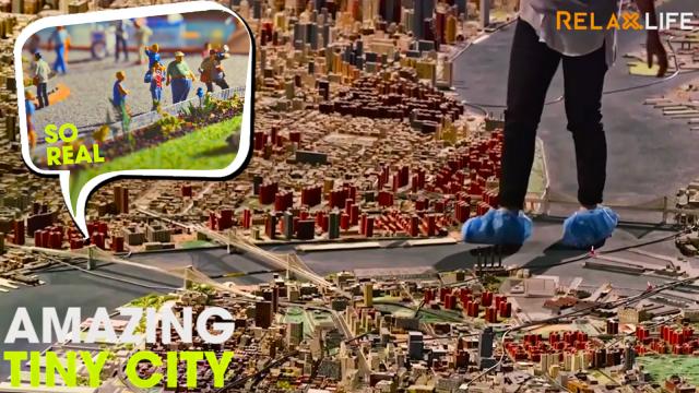 Take a tour around these tiny wonders.