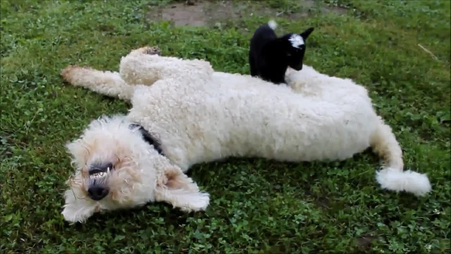 Good friends
