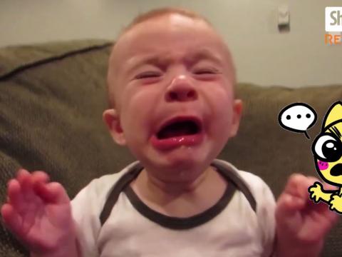 Funny Babies First Time